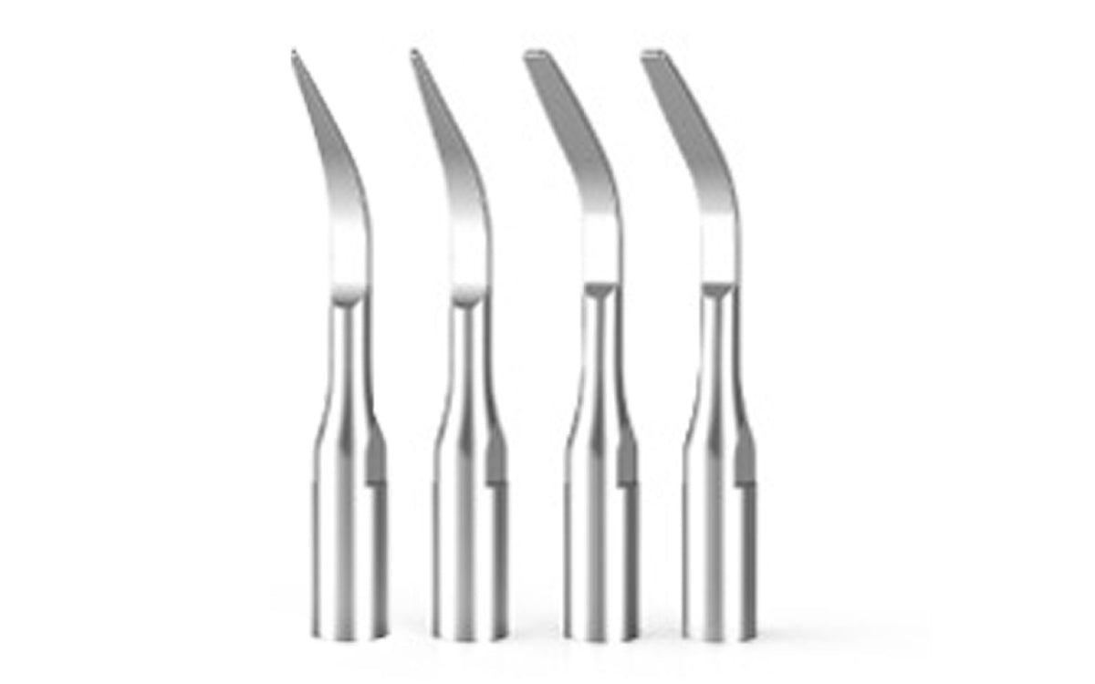 Flat and pointed stainless steel cleaning heads