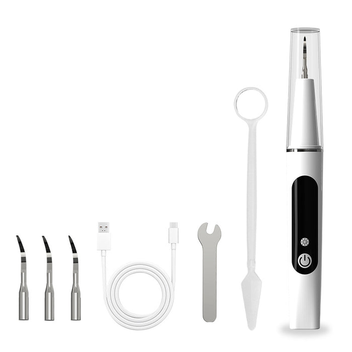 The kit laid out: tool, heads, cap, charging cable and tip wrench